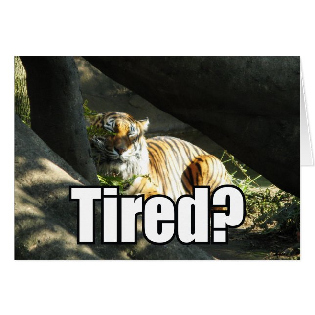 Tiger Catnap Greeting Card (Front Horizontal)