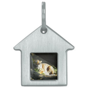 Tiger Catnap Pet Name Tag
