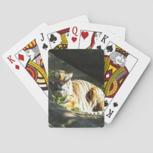 Tiger Catnap Playing Cards
