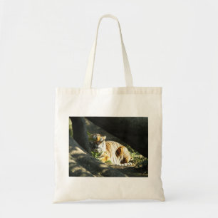 Tiger Catnap Tote Bag