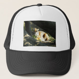 Tiger Catnap Trucker Hat