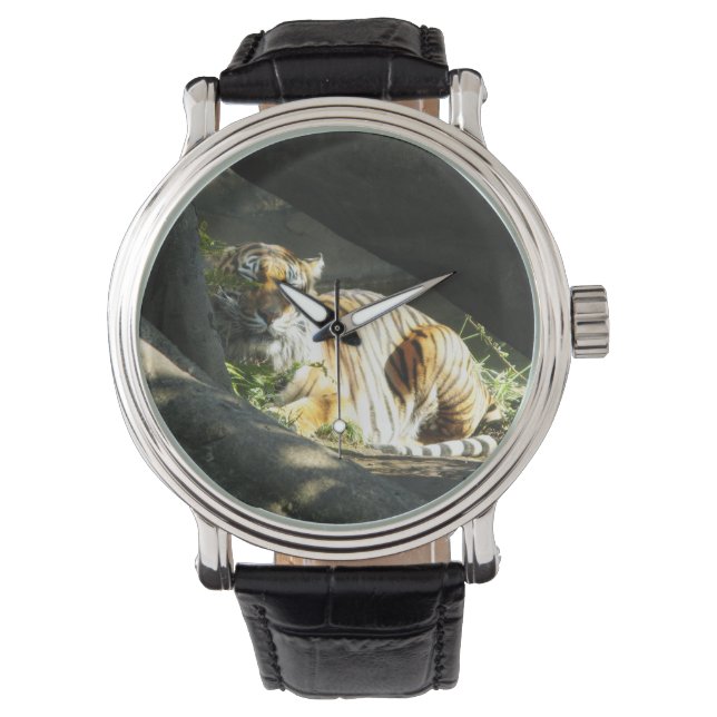 Tiger Catnap Watch (Front)