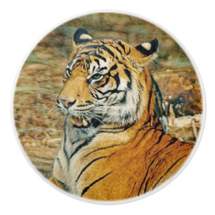 Tiger Ceramic Knob
