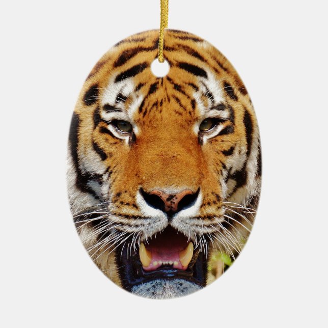Tiger Ceramic Tree Decoration (Front)