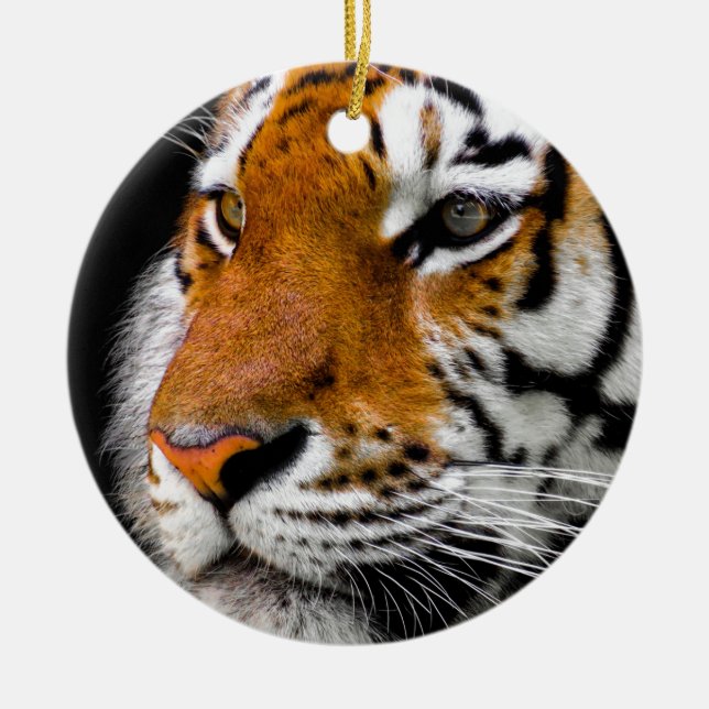 Tiger Ceramic Tree Decoration (Front)