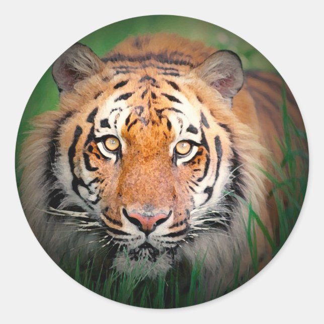 Tiger Classic Round Sticker (Front)