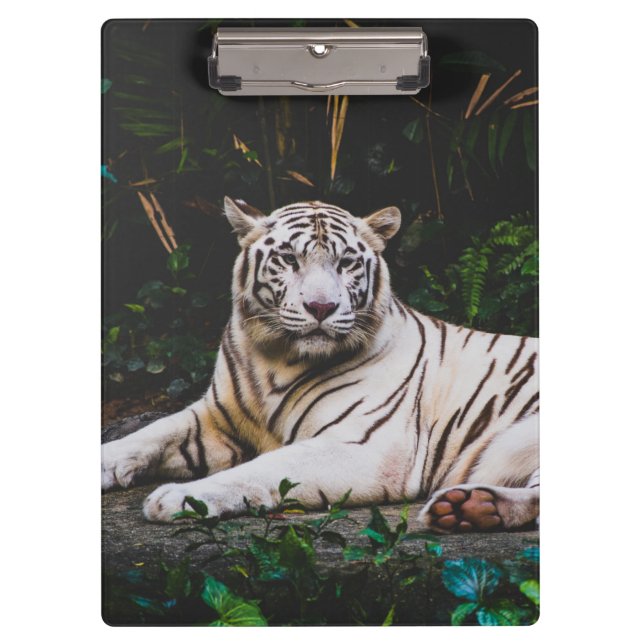 Tiger Clipboard (Front)