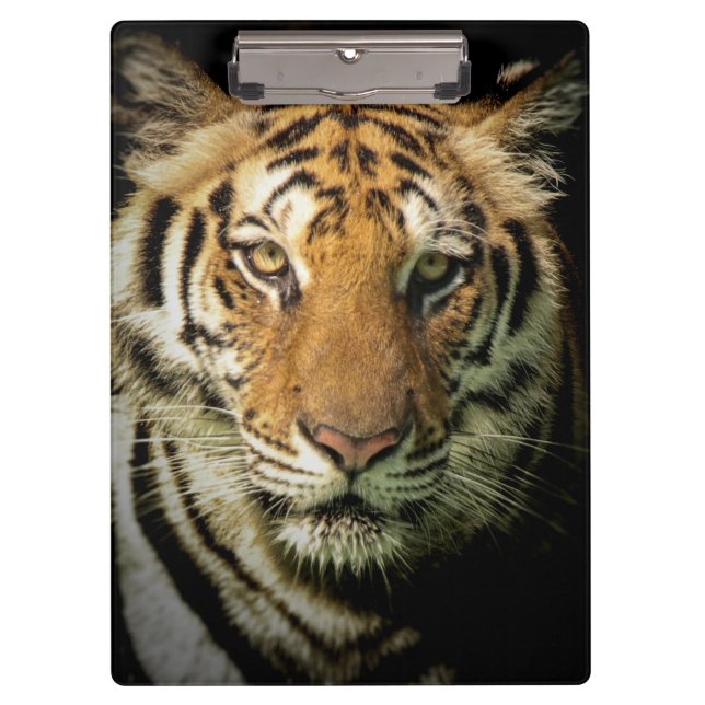 tiger clipboard (Front)