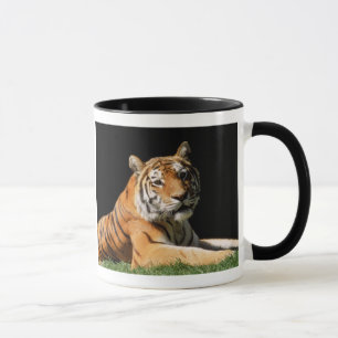 Tiger Closeup Mug