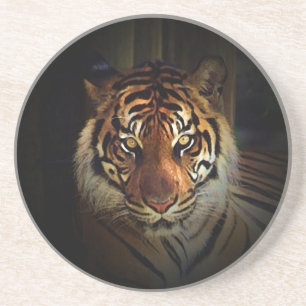 Tiger Coaster