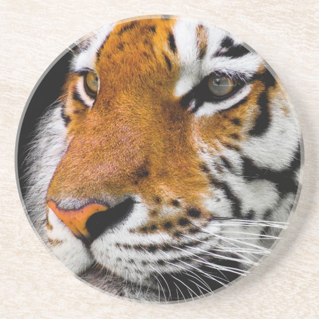 Tiger Coaster (Front)