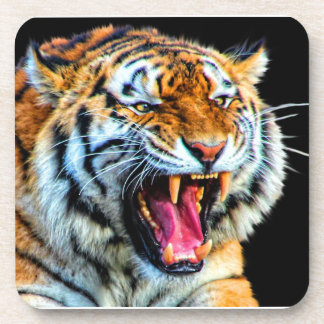 Tiger Coaster