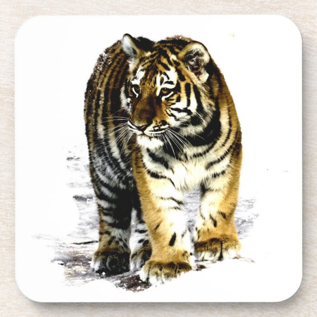 Tiger Coaster (Front)