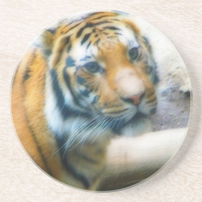 Tiger Coaster (Front)