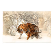 tiger cub and mother in snow poster