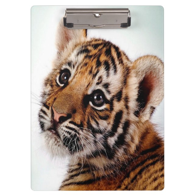 Tiger Cub/Clipboard Clipboard (Front)