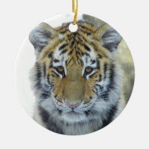 Tiger Cub In Snow Close Up Portrait Ceramic Tree Decoration