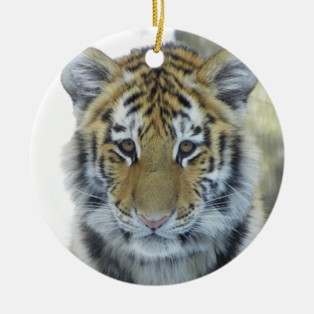 Tiger Cub In Snow Close Up Portrait Ceramic Tree Decoration (Front)