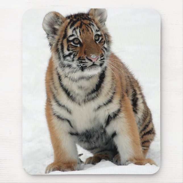Tiger Cub in the Snow Photo Mouse Pad (Front)