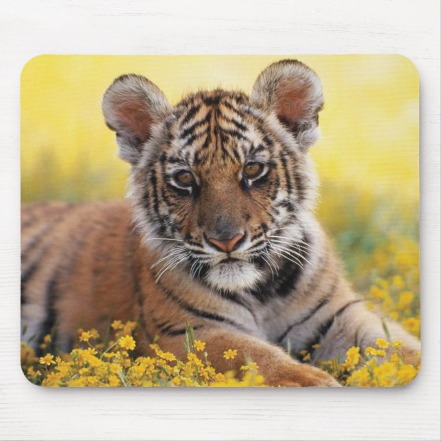 Tiger Cub Mouse Mat (Front)