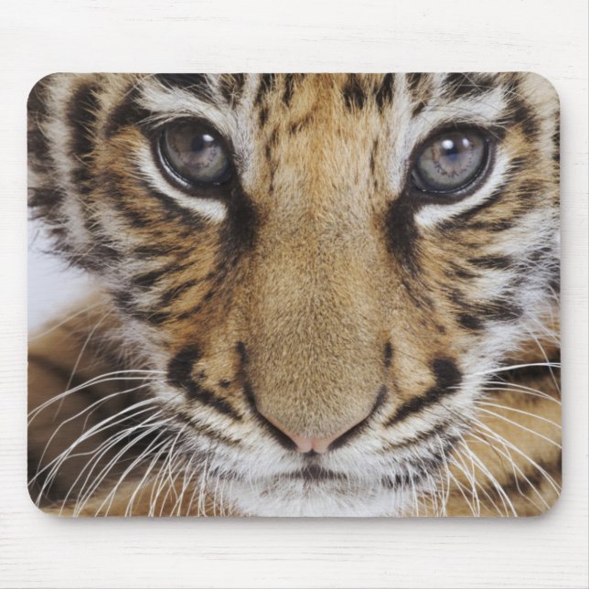 Tiger Cub Mouse Pad (Front)