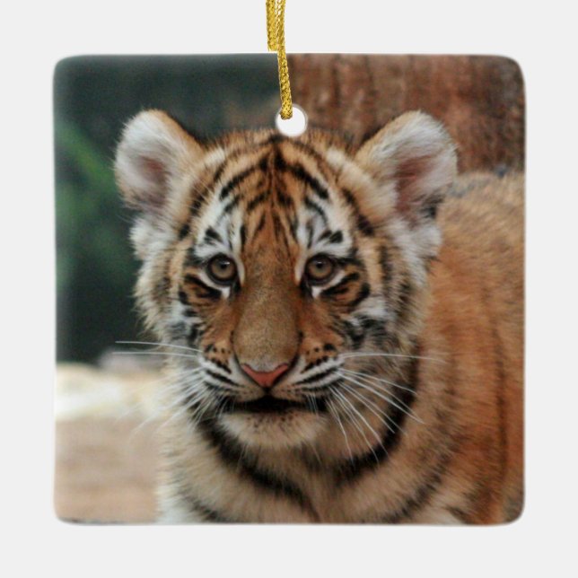 Tiger Cub Ornament (Front)