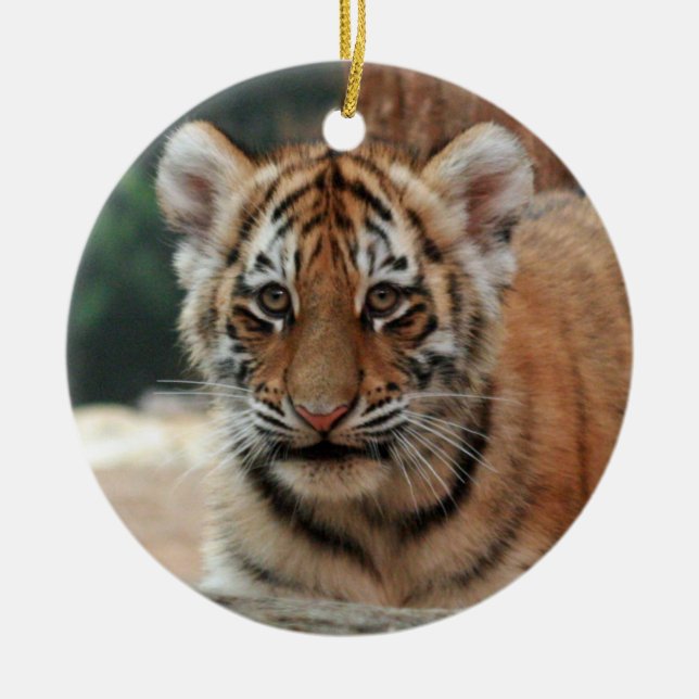 Tiger Cub Ornament (Front)