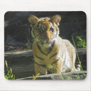 Tiger Cub Portrait 4 Mouse Pad