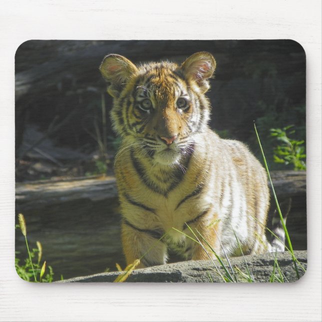 Tiger Cub Portrait 4 Mouse Pad (Front)