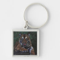 Tiger Cub Reclines on Rock