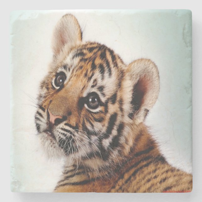 Tiger Cub Stone Coaster (Front)
