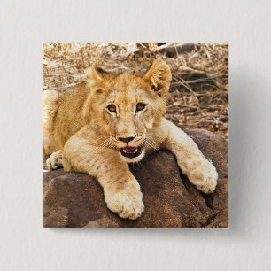 Tiger Cub Takes Breather On A Rock 15 Cm Square Badge