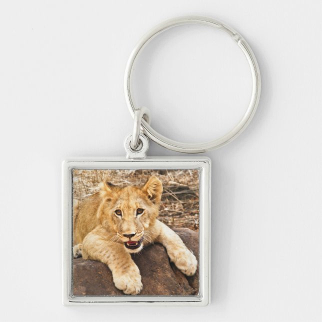 Tiger Cub Takes Breather On A Rock Key Ring (Front)