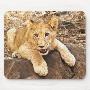 Tiger Cub Takes Breather On A Rock Mouse Pad