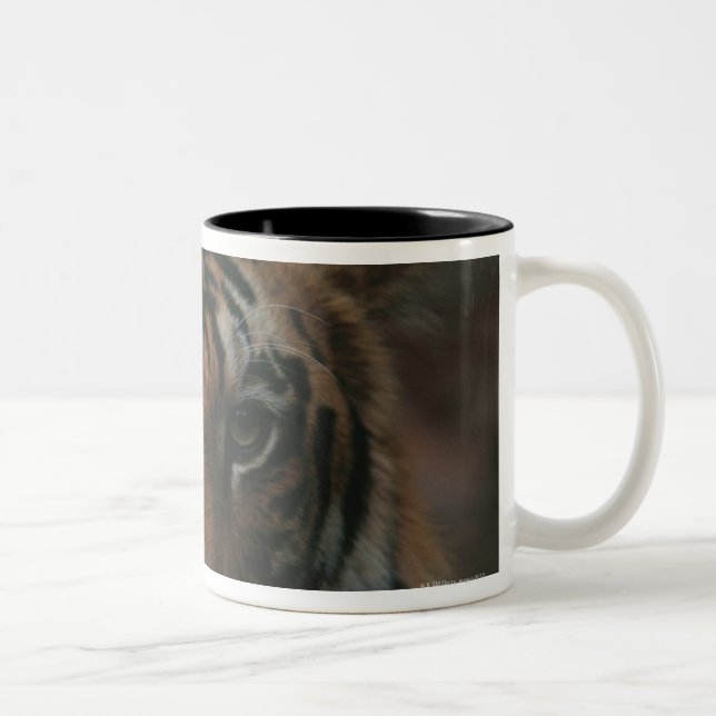 Tiger Cub Two-Tone Coffee Mug (Right)