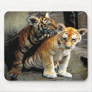 Tiger Cubs Mousepad