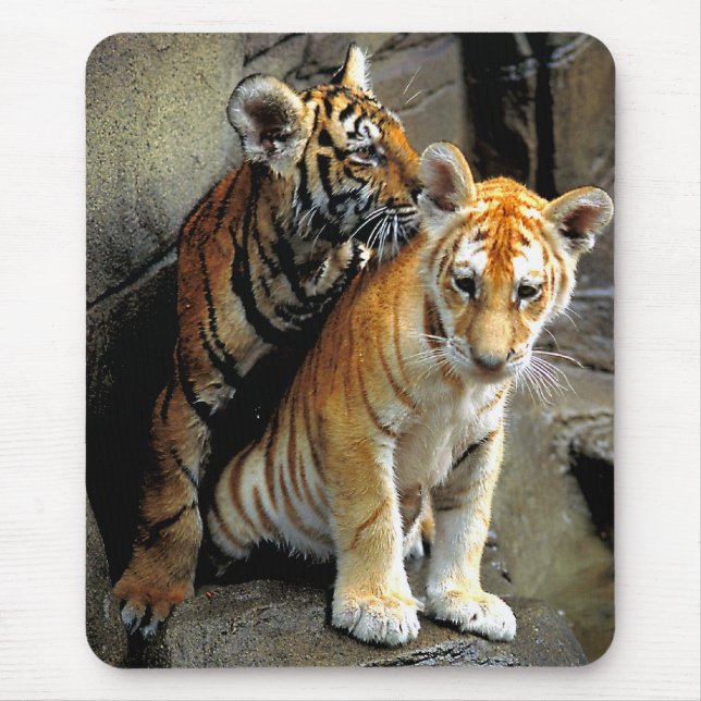 Tiger Cubs Mousepad (Front)