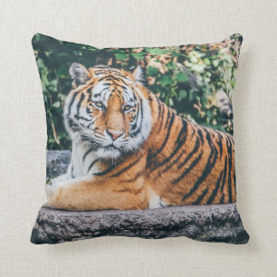 Tiger Cushion