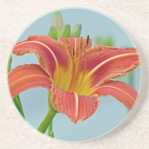 Tiger Daylily Coaster