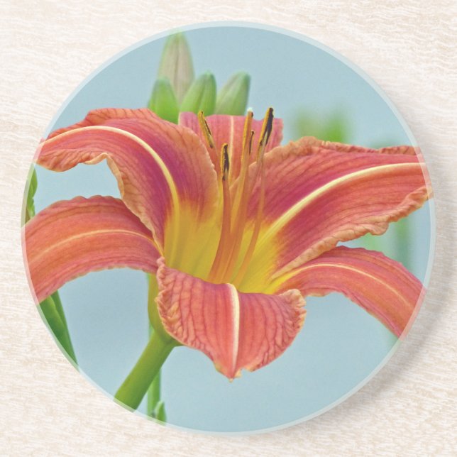 Tiger Daylily Coaster (Front)