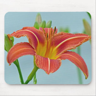 Tiger Daylily Mouse Pad