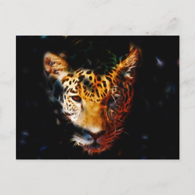 Tiger emerging postcard (Front)