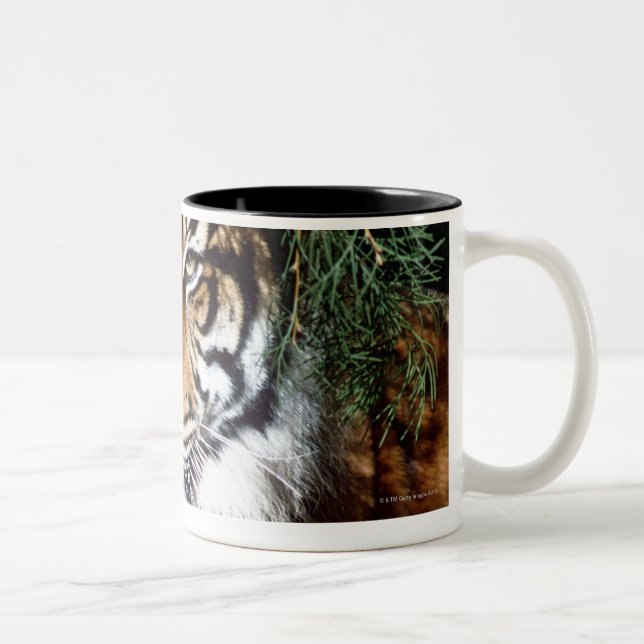 Tiger Enjoying Shade Two-Tone Coffee Mug (Right)