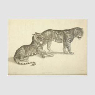 Tiger Ephemera Decoupage Tissue Paper