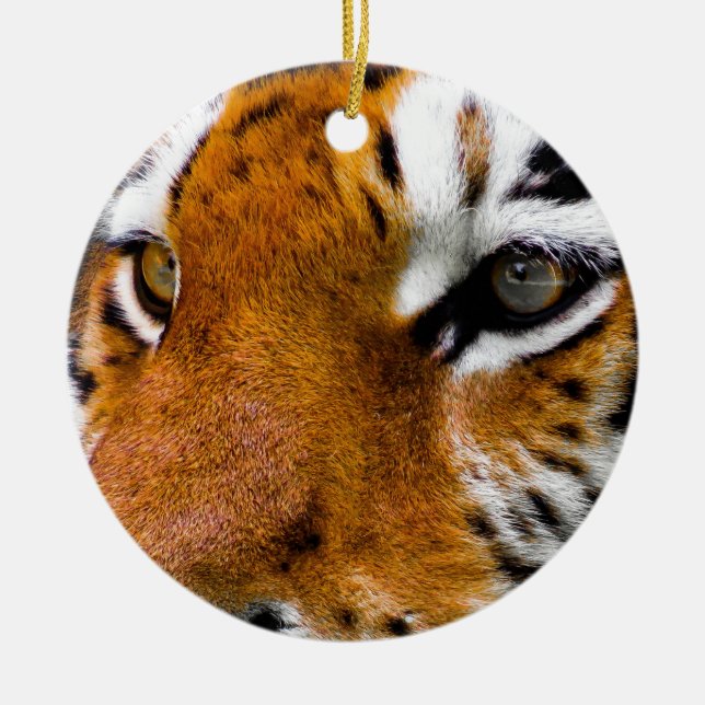 Tiger Eyes Ceramic Tree Decoration (Front)