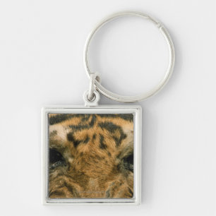 Tiger eyes key ring