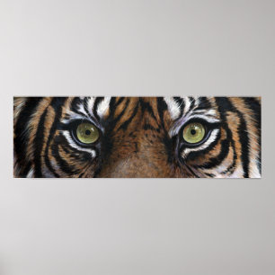 Tiger eyes poster