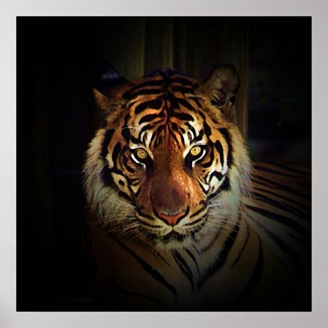 Tiger Eyes Poster - Wild Life Art Prints (Front)