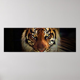 Tiger Eyes Poster - Wild Life Posters