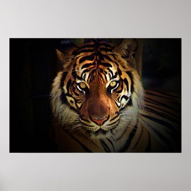 Tiger Eyes Poster - Wild Life Posters (Front)